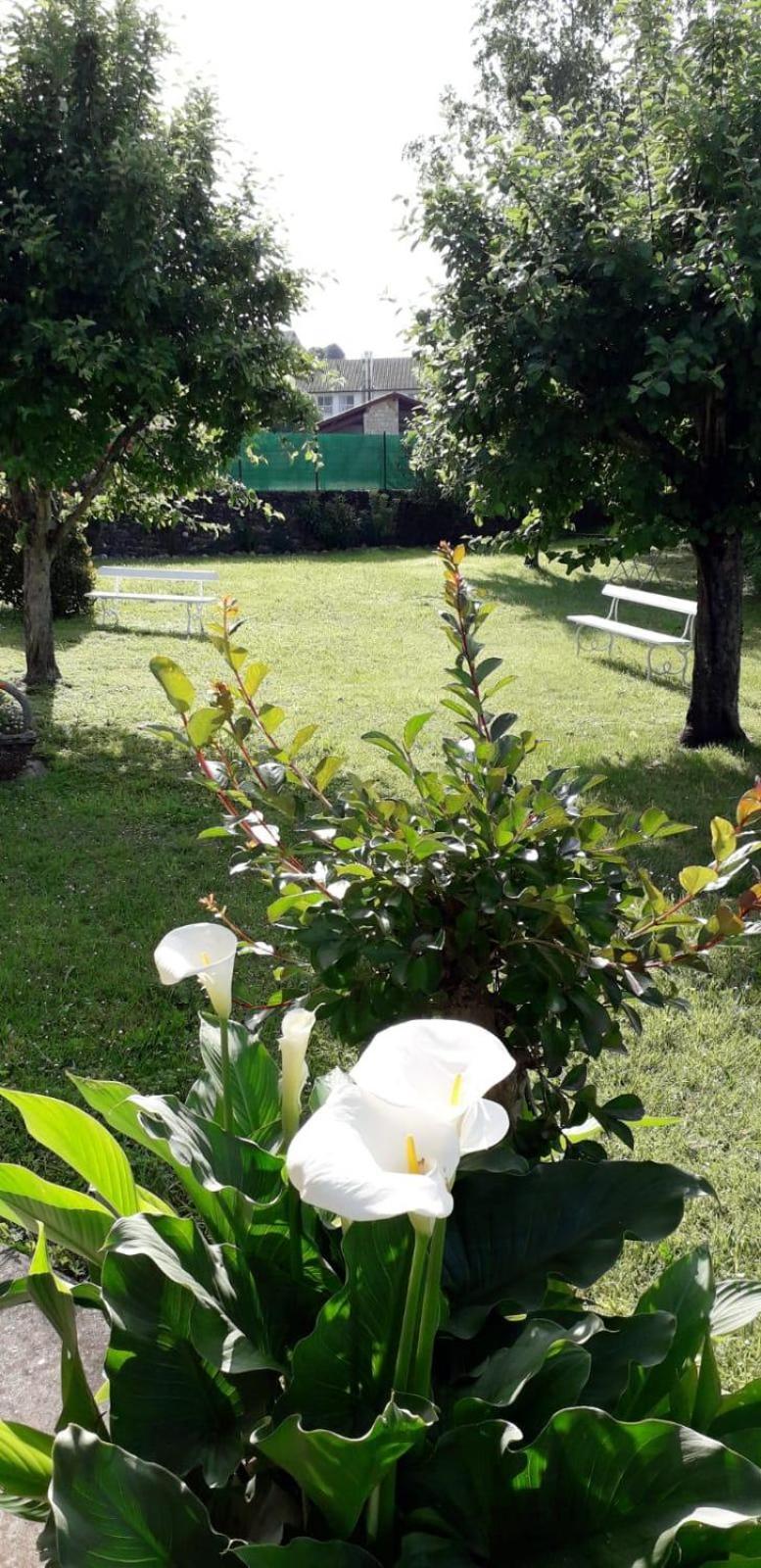 Maison Bidegain Berria Ispoure Luaran gambar